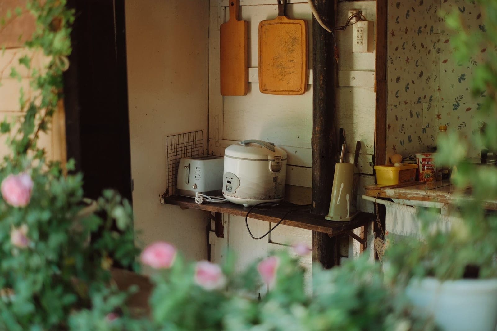 A rice cooker, cutting boards and plants in a rustic kitchen